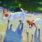 Doma Suszczynska - Jack Russel Terriers